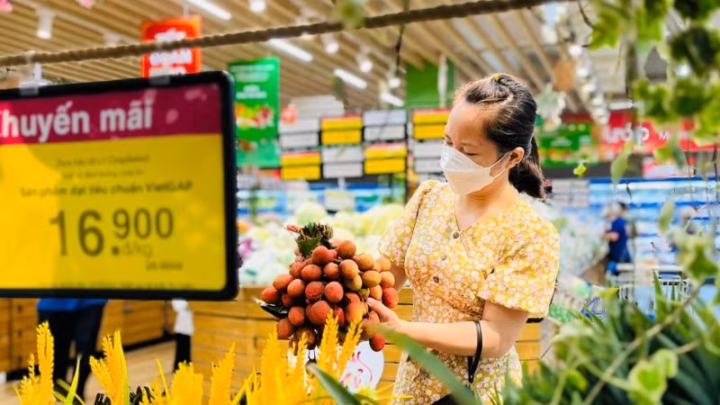 Khách hàng chọn mua đặc sản Hải Phòng là trái vải Thanh Hà. Năm nay Saigon Co.op đưa 300 tấn vải vào hệ thống siêu thị trên toàn quốc.