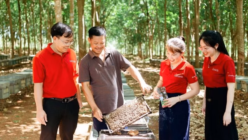 Mô hình cho vay qua Tổ đang được triển khai tại 105 chi nhánh Agribank tại 34 tỉnh, thành phố với gần 1 triệu thành viên tham gia, dẫn vốn trực tiếp đến từng hộ gia đình.