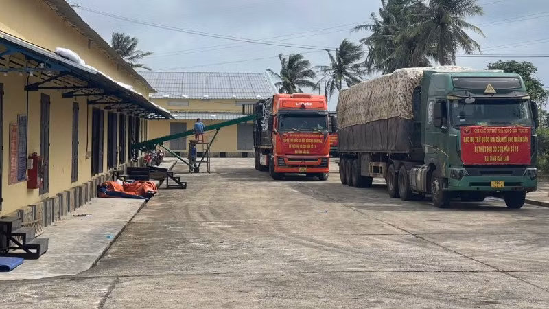 Xe vận chuyển gạo dự trữ quốc gia của Chi cục Dự trữ Nhà nước khu vực XII xuất phát hỗ trợ Nhân dân tỉnh Đắk Lắk bị thiệt hại do cơn bão số 13. (Ảnh: Cục Dự trữ) 