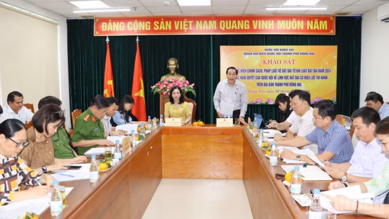 Quang cảnh buổi khảo sát.