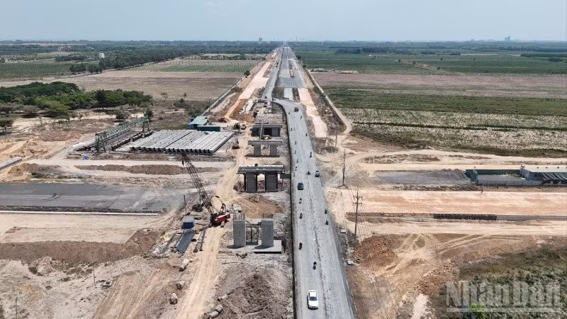 ndo_br_dji-20250319115605-0040-d-resize-5933.jpg