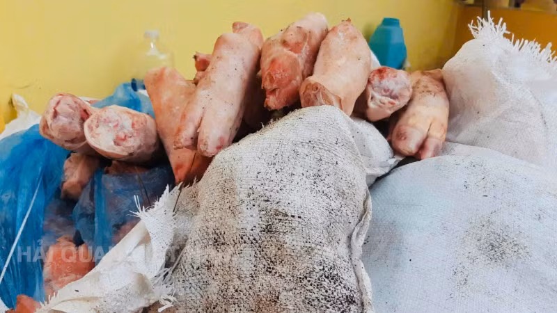 Bắt giữ 1.000kg chân lợn đông lạnh tại Chi cục Hải quan khu vực VI. (Ảnh: CHQ)