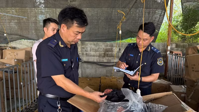 Lực lượng hải quan kiểm tra lô hàng có dấu hiệu vi phạm quyền sở hữu trí tuệ tại cửa khẩu. (Ảnh: CHQ) 