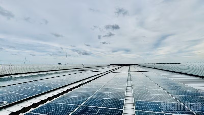 Phát triển và sử dụng hiệu quả các nguồn năng lượng góp phần thực hành tiết kiệm, chống lãng phí, hướng tới phát triển bền vững.