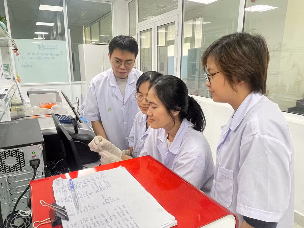 Nhóm nghiên cứu thực hiện nghiên cứu các hợp chất sau chiết xuất của cây nghệ trắng. (Ảnh: TRUNG HIẾU)