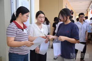 (Ảnh minh họa: THẾ ĐẠI)