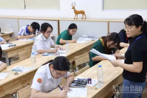 (Ảnh: ĐẠI THẮNG)