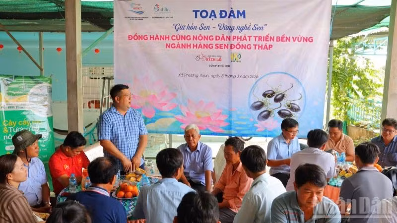 ndo_br_tdam-sen2.jpg