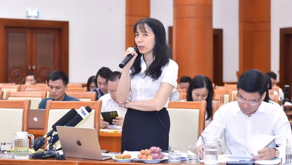Bà Đào Thanh Hương, Phó Cục trưởng Cục Đầu tư nước ngoài cho biết: Bộ Tài chính đã chủ động xây dựng dự thảo Nghị quyết của Quốc hội về Chương trình hành động thực hiện Nghị quyết 10.