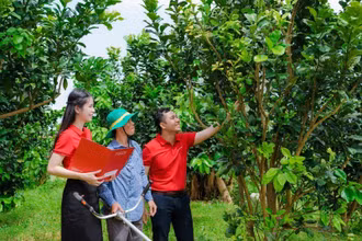 "Tiếp sức" cho kinh tế tư nhân phát triển