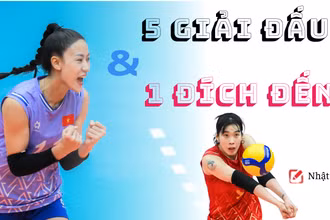 5 giải đấu & 1 đích đến