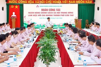 Đoàn công tác Ngân hàng Chính sách xã hội Trung ương làm việc với Chi nhánh thành phố Cần Thơ.