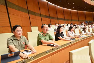 Đại biểu Quốc hội bấm nút thông qua Luật Quản lý và đầu tư vốn Nhà nước tại doanh nghiệp. (Ảnh: DUY LINH)