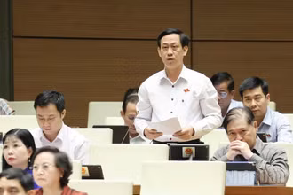 Đại biểu Mai Văn Hải (Đoàn Thanh Hóa) phát biểu tại hội trường. (Ảnh: DUY LINH)