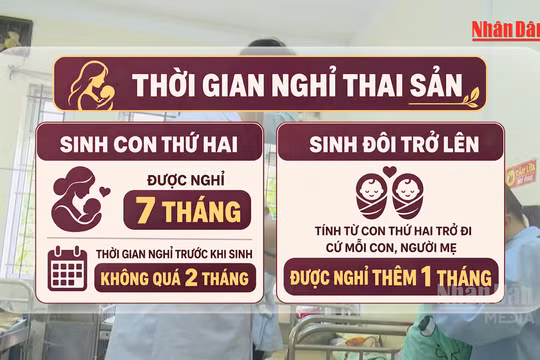 [Video] Sinh con thứ hai đồng thời sinh đôi được nghỉ thai sản 8 tháng