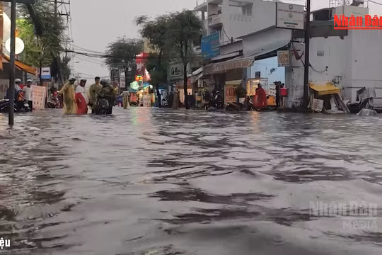 [Video] Thành phố Hồ Chí Minh khuyến cáo không cố vượt vùng ngập, bảo đảm an toàn giao thông
