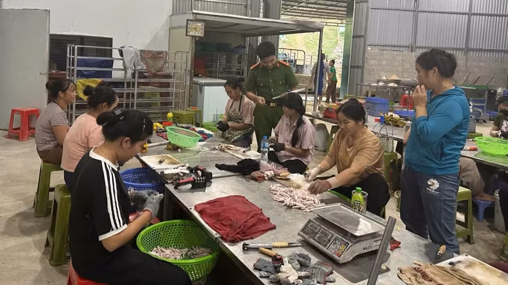 Lực lượng chức năng kiểm tra cơ sở sản xuất, chế biến chân gà tại thôn Bản Phạc, xã Quốc Khánh, tỉnh Lạng Sơn. (Ảnh: ANH KHOA)