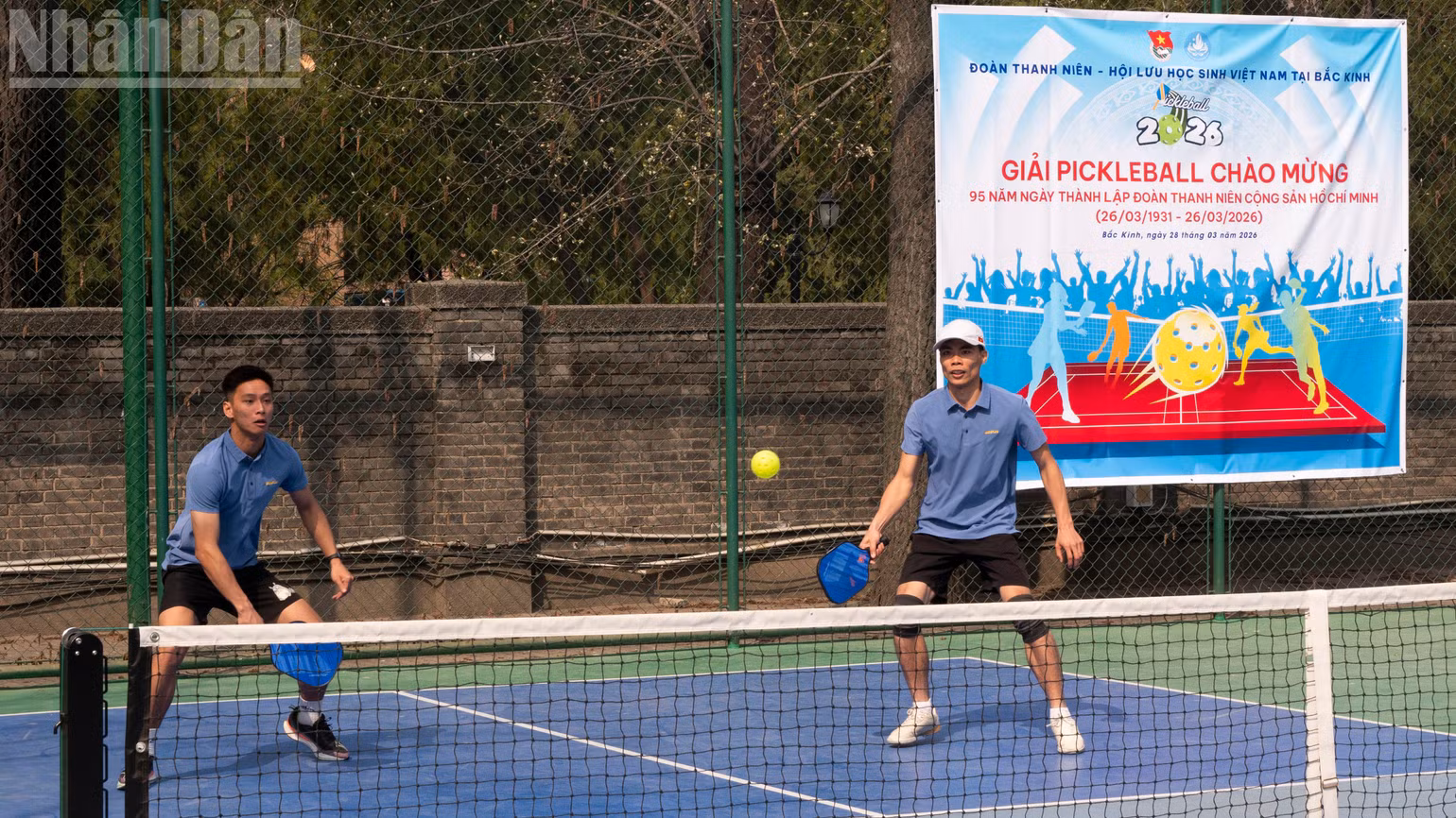 ndo_tl_a09-p2639465-1.jpg