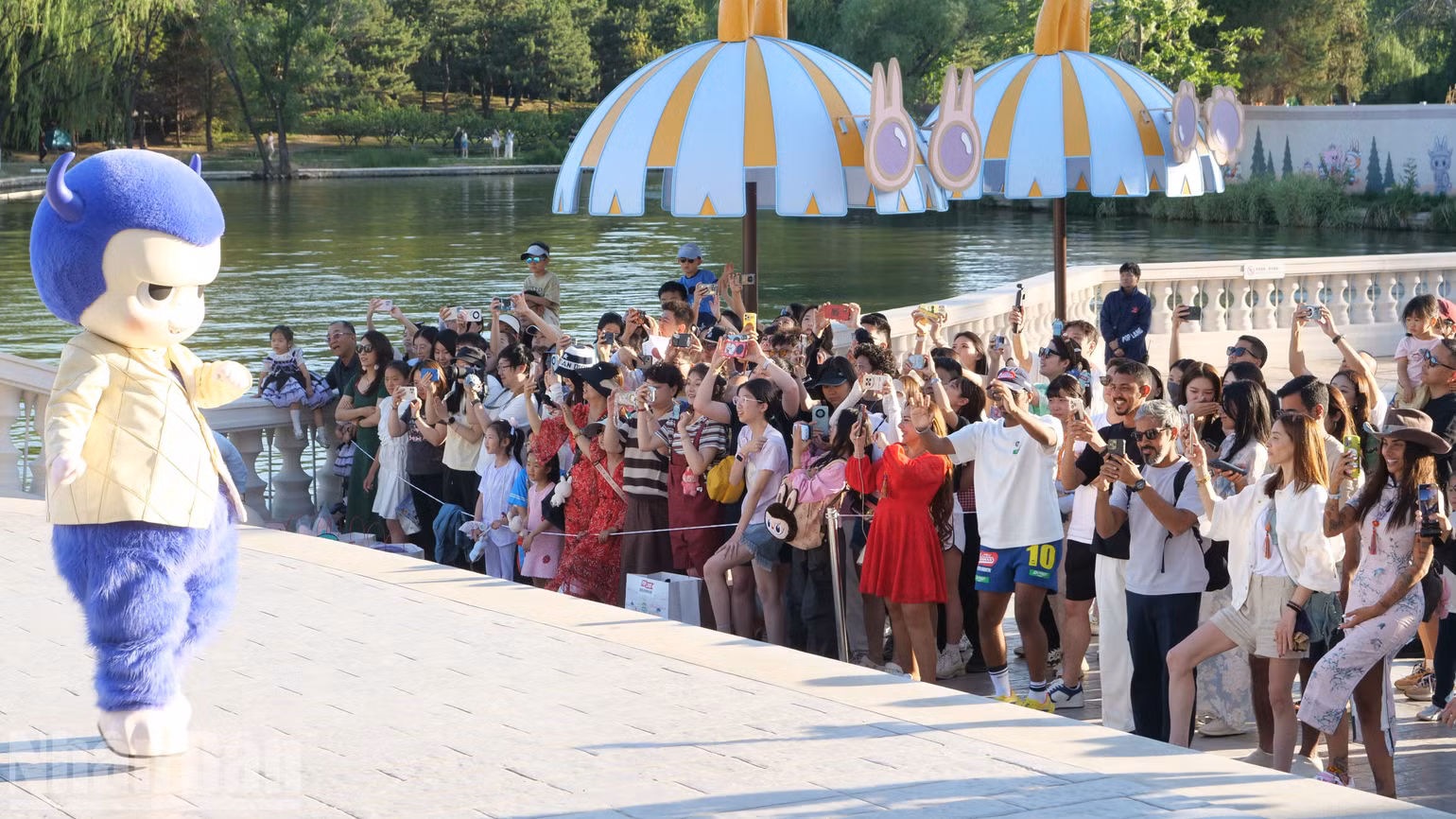 ndo_bl_p2035604.jpg