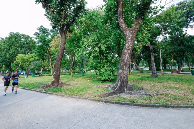 Công viên Lê Văn Tám, không gian có thể đầu tư phát triển bãi đậu xe ngầm nhằm bổ sung không gian phát triển, tăng năng lực hạ tầng cho thành phố (Ảnh: THẾ ANH)