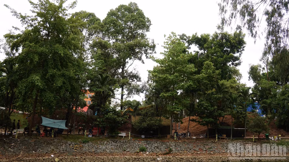 ndo_br_dsc06537.jpg