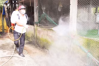 Thực hiện tháng cao điểm vệ sinh tiêu độc, khử trùng môi trường chăn nuôi.