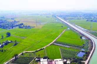 Kênh Đông đã thay đổi bộ mặt nông nghiệp của địa phương, biến mảnh đất khô cằn trở nên màu mỡ, trù phú.