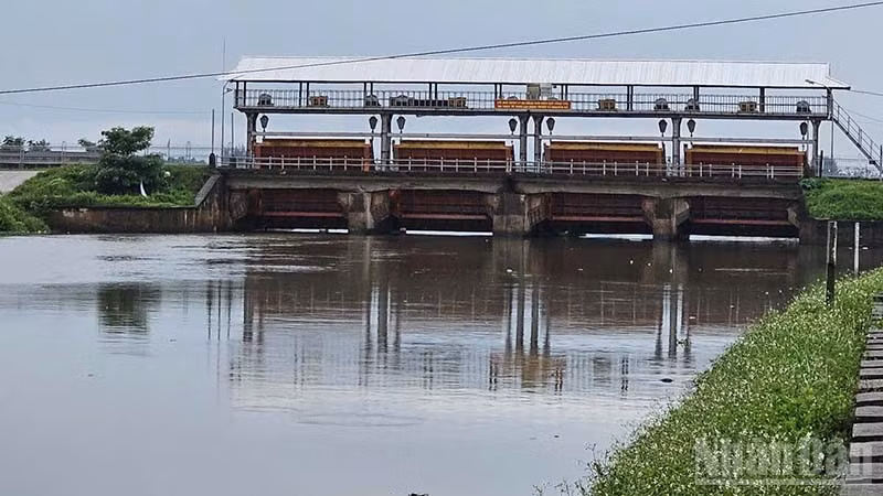 ndo_br_3-cong-quang-chau.jpg