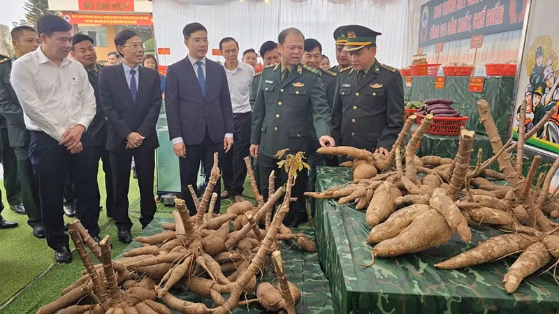 2-tham-quan.jpg