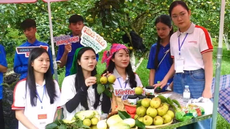 Livestream bán lê tại Lai Châu. (Ảnh: TRẦN TUẤN)