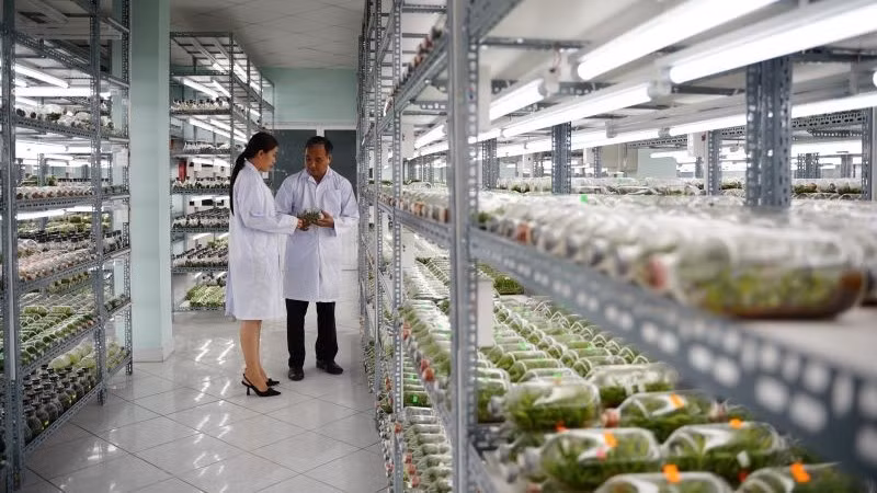 Phòng nhân giống hoa lan cấy mô tại Khu Nông nghiệp công nghệ cao Thành phố Hồ Chí Minh.