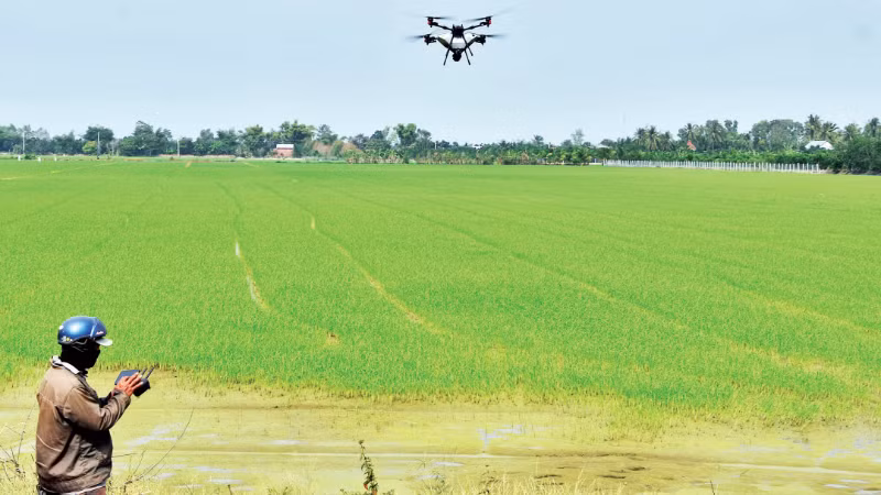 Nông dân xã Mỹ Thành (tỉnh Đồng Tháp) sử dụng thiết bị bay không người lái (drone) phun phân bón trên ruộng lúa.