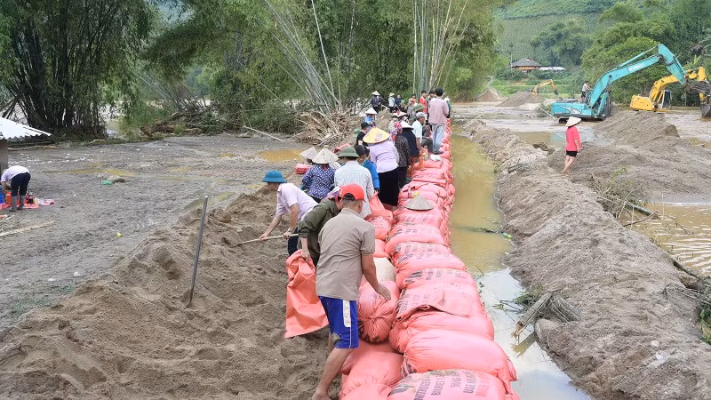Người dân xã Văn Bàn đóng bao cát để đắp đê chống lũ.
