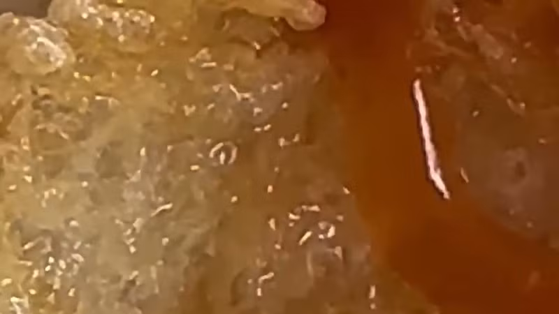 Tài khoản Facebook "Tạ Kỳ" đăng hình ảnh xôi hộp có giòi. (Ảnh chụp lại từ clip)