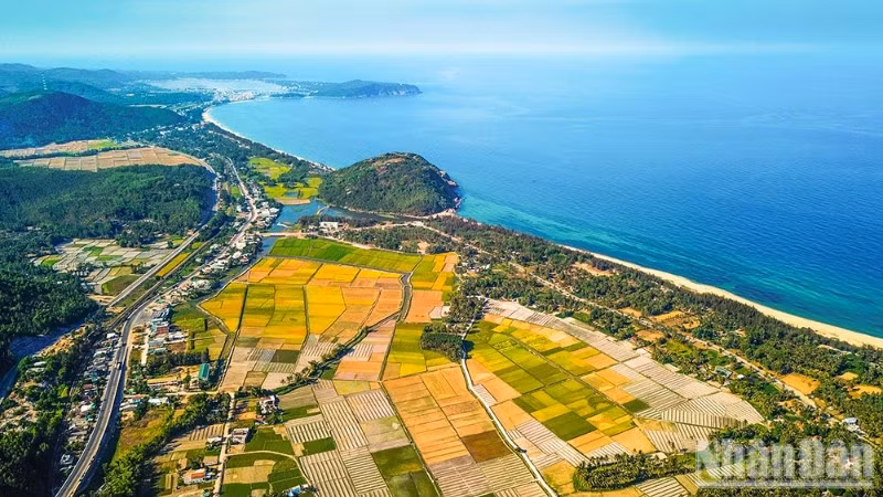 Tài nguyên biển, đảo là giá trị cốt lõi tạo nên thương hiệu du lịch Quảng Ngãi.