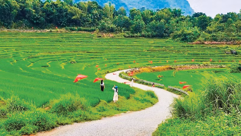 Du khách check-in cùng những thửa ruộng bậc thang xanh mướt ở Pù Luông, Thanh Hóa. (Ảnh: HUYỀN PHẠM)
