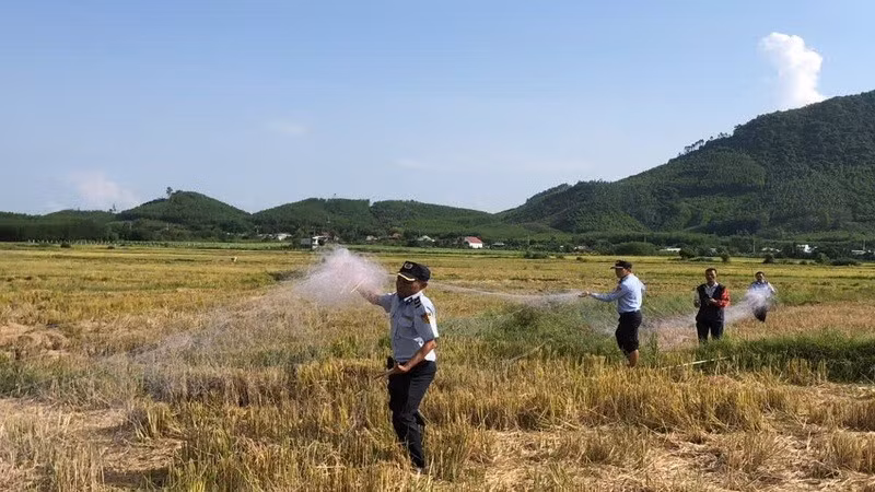 Đội chống săn bắt chim yến thu giữ tang vật vi phạm. Tuy nhiên, lực lượng này chỉ là những anh em bảo vệ của Công ty Yến sào Khánh Hòa kiêm nhiệm. (Ảnh: CTV) 