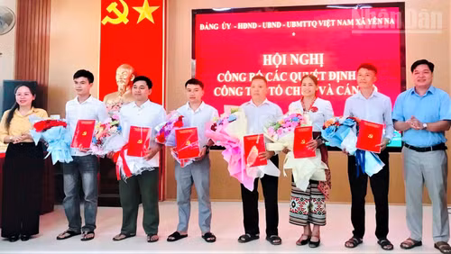 ndo_tr_788576417-1456195396346978-3012368171022024575-n.png