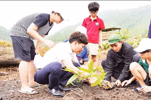 Người dân xã Bản Liền, tỉnh Lào Cai tham gia chương trình trồng cây, tháng 8/2025. (Ảnh: TL)