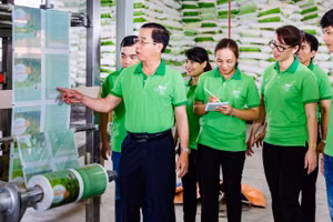 ThaiBinh Seed đề xuất cơ chế linh hoạt để doanh nghiệp góp vốn vào hợp tác xã.
