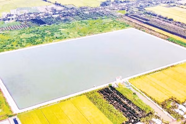Hồ nước ngọt Hậu Giang nhìn từ trên cao.
