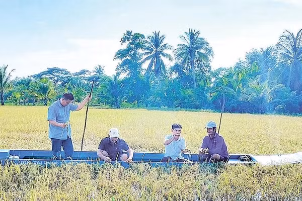 Lực lượng chức năng và nông dân xã Khánh Bình, tỉnh Cà Mau di chuyển bằng vỏ lãi ra đồng bị ngập sâu khảo sát, rà soát mức độ thiệt hại để lên phương án hỗ trợ nhà nông.