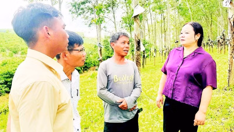 Lãnh đạo Ủy ban nhân dân xã Đăk Tô cùng cán bộ xã thăm vườn rừng gia đình anh A Nhun.