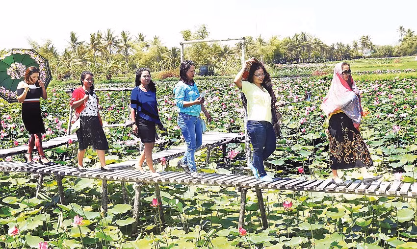 Mô hình farmstay kết hợp với không gian cắm trại, ẩm thực dân dã đã tạo nên sản phẩm du lịch mới mẻ cho Khánh Hòa.