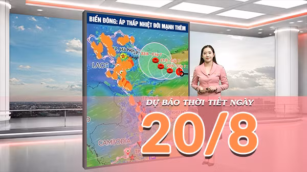 [Video] Dự báo thời tiết ngày 20/8/2026: Áp thấp nhiệt đới gây biển động, Bắc Bộ và Bắc Trung Bộ mưa lớn