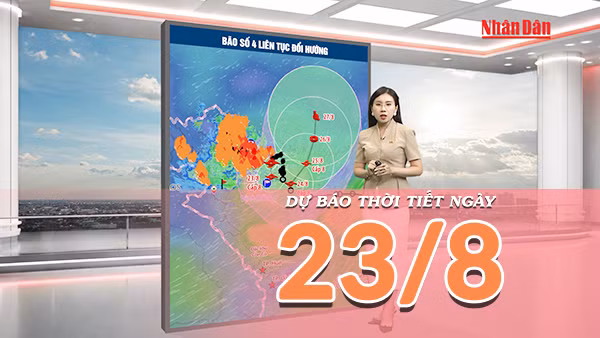 [Video] Dự báo thời tiết ngày 23/8/2026: Bão số 4 di chuyển chậm, Bắc Bộ tiếp tục mưa lớn