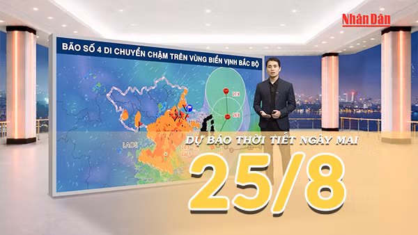 [Video] Dự báo thời tiết đêm nay và ngày mai 25/8/2026: Bão số 4 tiếp tục gây mưa lớn diện rộng tại Bắc Bộ và Bắc Trung Bộ