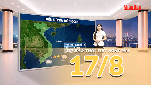 [Video] Dự báo thời tiết đêm nay và ngày mai 17/8/2026: Bắc Bộ đón mưa lớn, Trung Bộ nắng nóng 