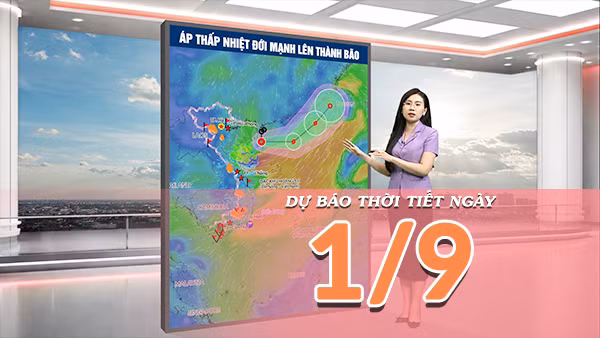 [Video] Dự báo thời tiết ngày 1/9/2026: Áp thấp nhiệt đới mạnh lên thành bão, Bắc Bộ nắng nóng, Trung Bộ mưa dông