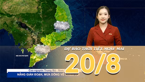 [Video] Dự báo thời tiết đêm nay và ngày mai 20/8/2026: Áp thấp nhiệt đới có thể mạnh thêm, Bắc Bộ và Bắc Trung Bộ mưa lớn 
